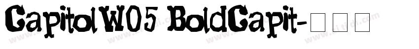 CapitolW05 BoldCapit字体转换